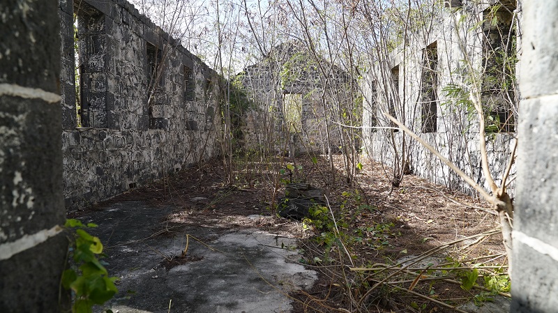 Project image for website